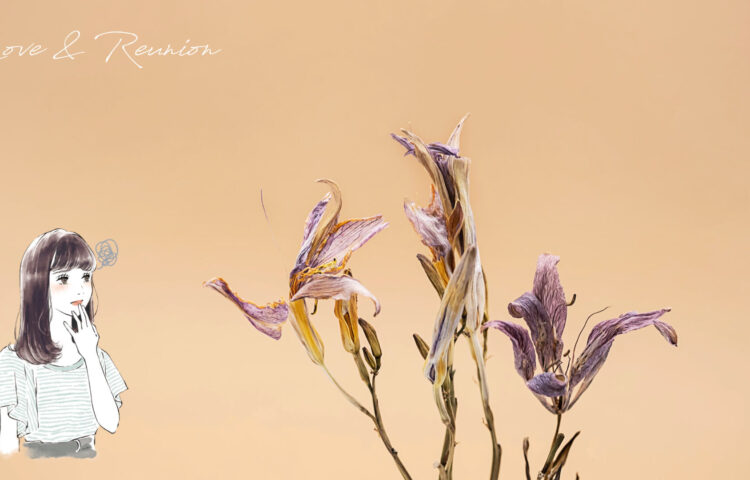 しおれた花が乾いた背景の前に並ぶ。出会いの繰り返しに疲れた心を静かに映すイメージ。